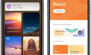 Meditation apps. Headspace’s revenue is estimated at $50m a year and the company is valued at $250m. 1200.jpg?width=300&quality=85&auto=forma