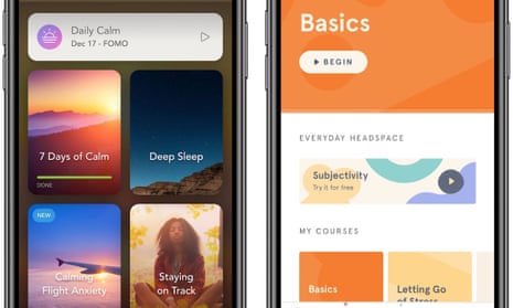 Meditation apps. Headspace’s revenue is estimated at $50m a year and the company is valued at $250m.