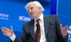 Sir David Attenborough says he ‘can’t bear’ to think of the planet his grandchildren will inherit.