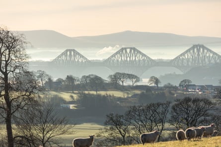 Long-distance view of the Forth Bridge among clouds, with trees, grass and sheep in foreground