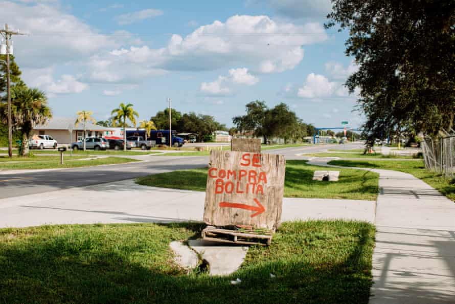 In Immokalee, Florida, many collectors of palmetto berries put up signs in Spanish for farmworkers that harvest the berries between August and October. Here, a sign reads ‘we buy berries’.