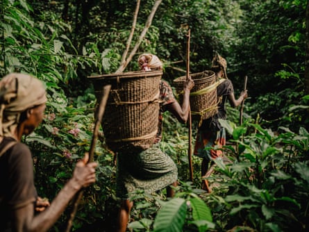 Cidades flutuantes de troncos: poderão os “pulmões de África” sobreviver à sua exploração?