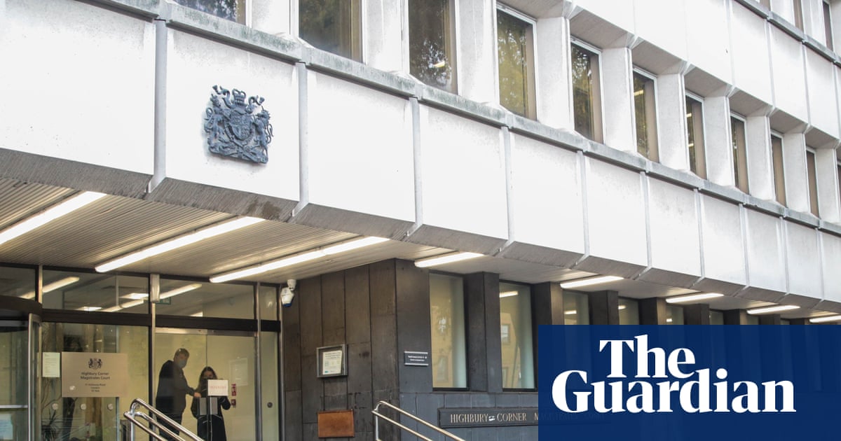 Two teenagers detained over sadistic' torture and killing of two kittens in London