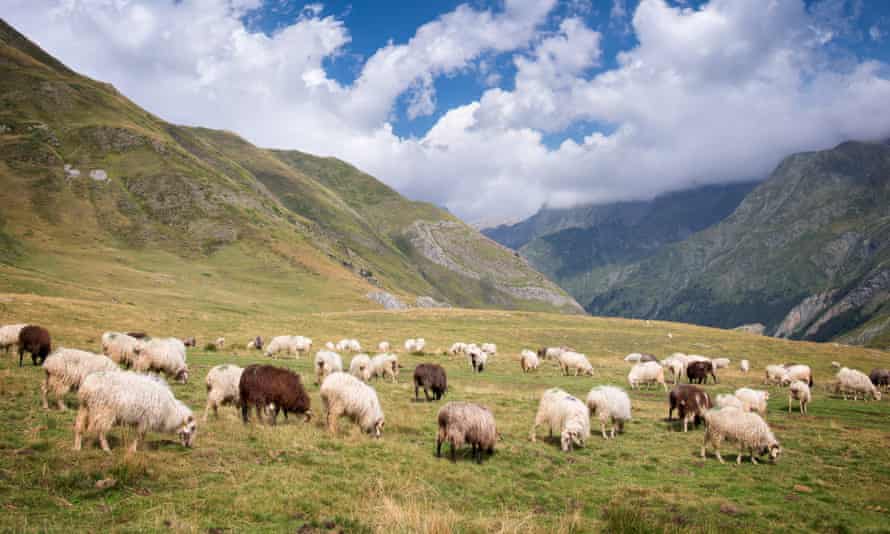 The Ossau valley in the Pyrenees