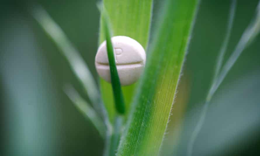 A Piriton tablet on blades of grass