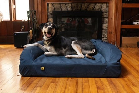 A dog resting on a K9 Ballistics Tough Ripstop Rectangle Bolster Orthopedic Dog Bed