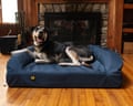 A dog resting on dog bed in front of a fireplace