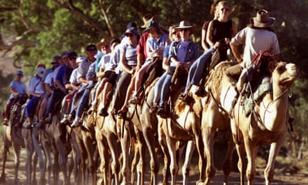 Alice Springs commercial cameleer Neil Waters (R) rides backwards as he keeps an eye on a group of tourists he is escorting along the Todd River during a late-evening ride