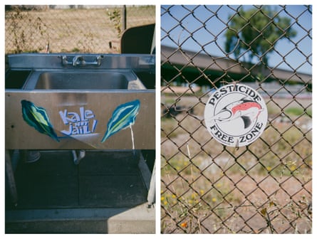 left: A sink is spray painted with the Planting Justice motto “Kale not jail!”. Right: a sticker says ‘pesticide free zone’ on a chain link fence