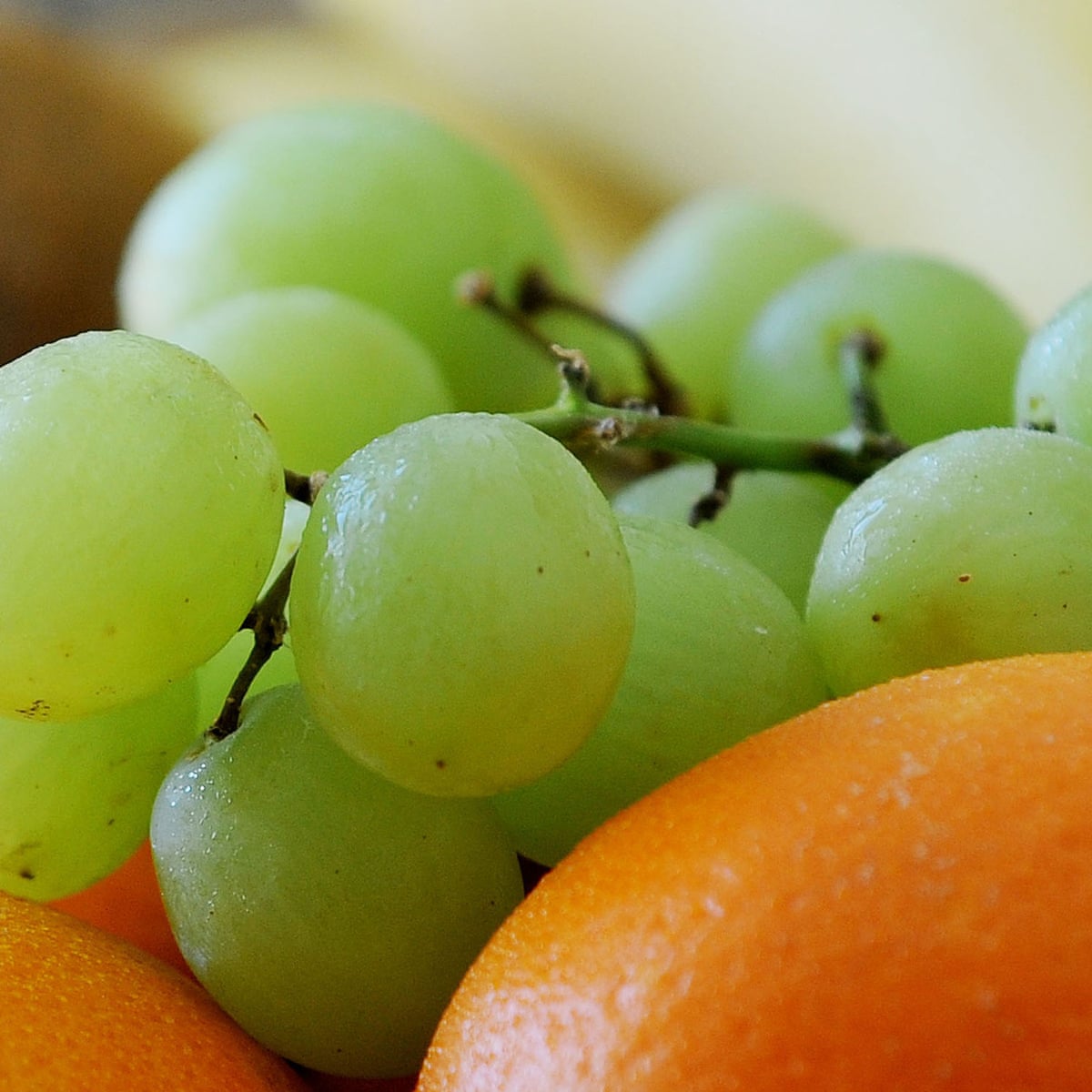 Lack Of Awareness Of Grape Choking Hazard Puts Children At Risk Say Doctors Children The Guardian Lack Of Awareness Of Grape Choking Hazard Puts Children At Risk Say Doctors Children The Guardian