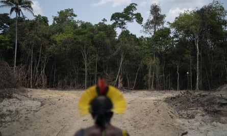 The scientists report that 17% of the Amazon rainforest has been lost since 1970.