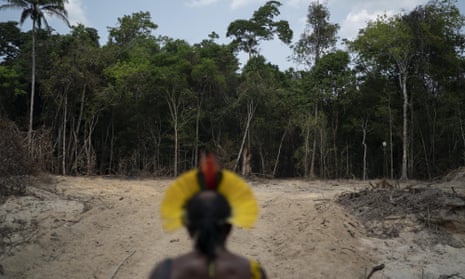 An Indigenous leader looks out at a path created by loggers in Brazil.