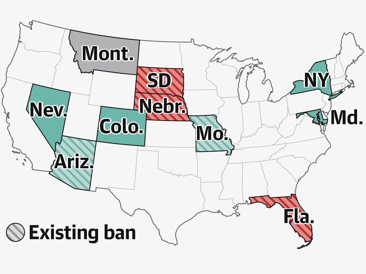 Missouri and Arizona vote to expand abortion rights as Florida rejects protections (theguardian.com)