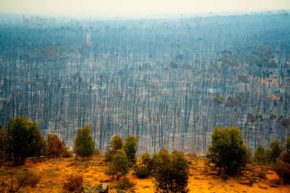 Bush Fire Devastation in Australia