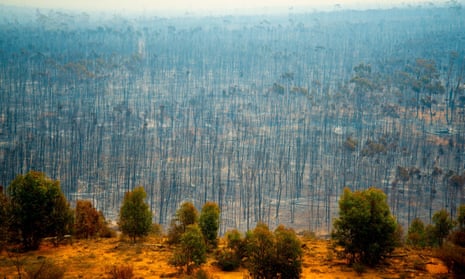 Bush fire devastation in Australia