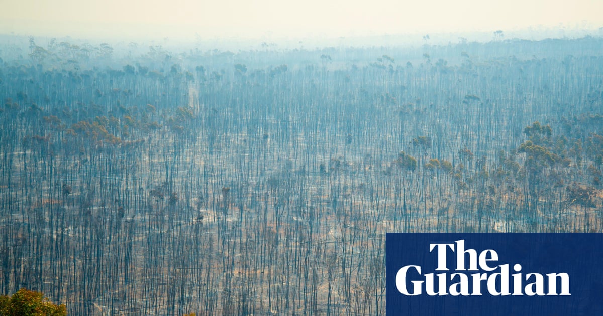 Labor’s 2035 emissions target a ‘sliding doors’ moment for future generations | Australian politics Labor’s 2035 emissions target a ‘sliding doors’ moment for future generations | Australian politics