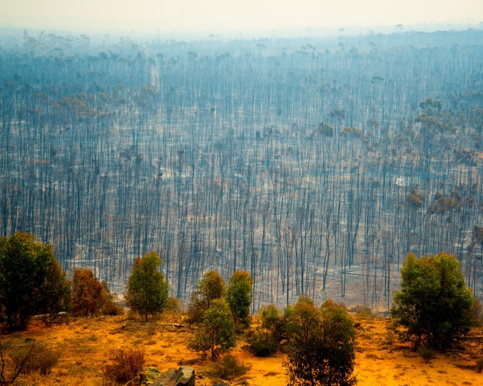 Labor’s 2035 emissions target a ‘sliding doors’ moment for future generations