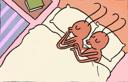 Bed Bugs illustration