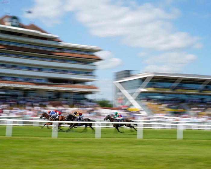 The curious case of the cremation urn left at Newbury racecourse