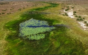 Seu curso ainda visível do ar, o rio em Nataka, distrito de Larde, Moçambique foi uma fonte vital de peixe e água para irrigação até as chuvas se tornarem pouco confiáveis ​​e o rio secou