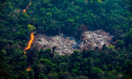 Gap Year (10): The  Rainforest — A Must Go!