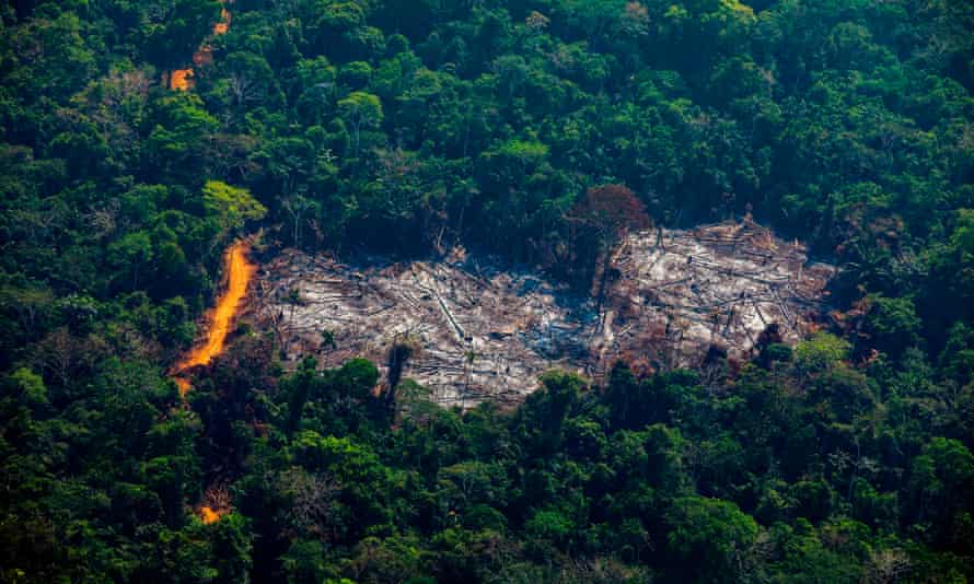 World Losing Area Of Forest The Size Of The Uk Each Year Report Finds Deforestation The Guardian World Losing Area Of Forest The Size Of The Uk Each Year Report Finds Deforestation The Guardian