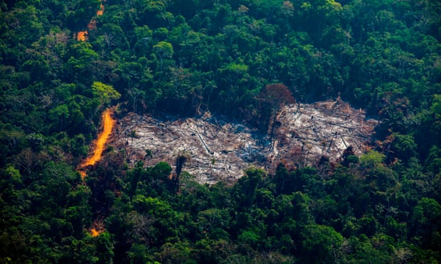 An deforested area of the Amazon in Pará state, Brazil