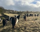 A moving account of farming’s downsides | Brief letters
