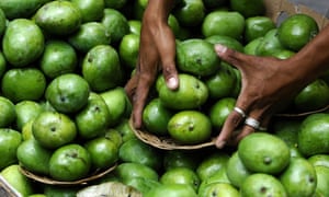 A vendor arranges green mangoes in Manila