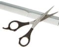 Hair cutting scissors and comb