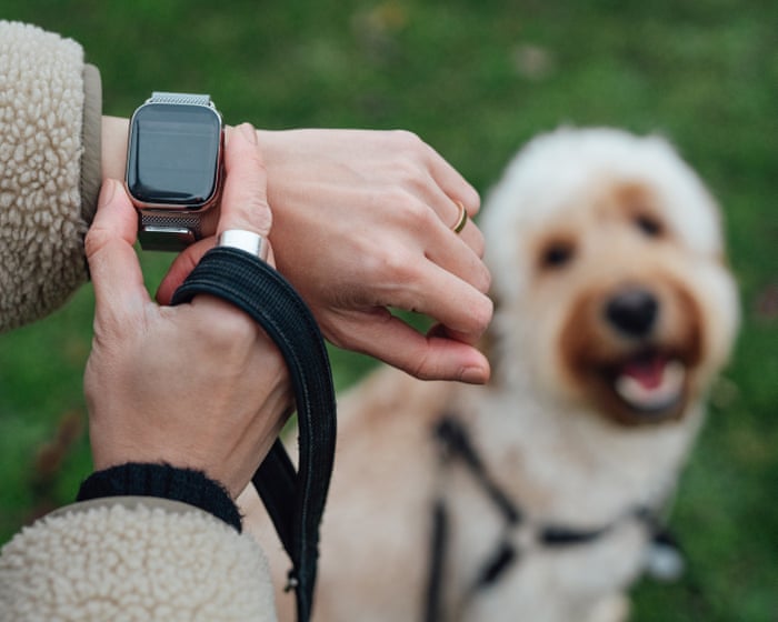 The truth about smartwatches? Life is better without a hectoring zealot on your wrist | Zoe Williams