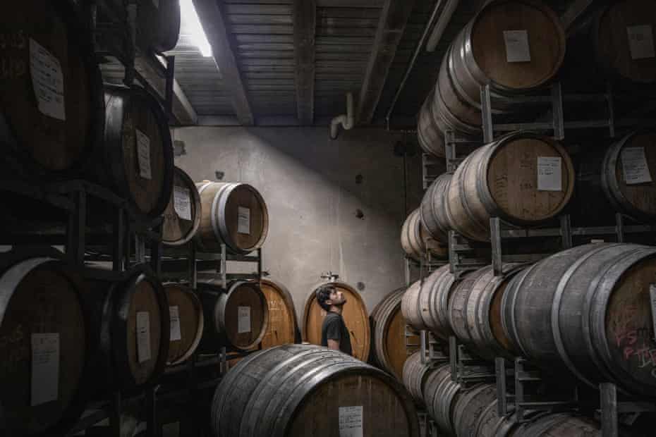 Bandesh observa los barriles en la bodega de almacenamiento de la bodega de Mac Forbes, la noche antes de que comenzara la producción de su vino Shiraz “Time to Fly”.