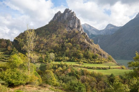 A view of mountains, trees and grass