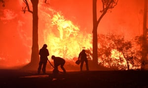 Global heating is being blamed for the wildfires that devastated much of New South Wales in Australia in recent months