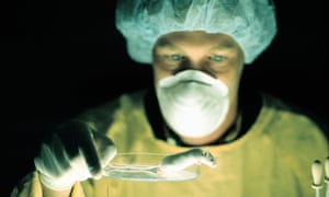 Experiments on mice using gut microbes could lead to a greater understandinding of the causes of obesity