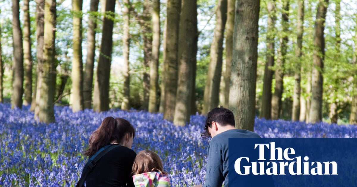 Personal Responsibility and the Great Outdoors: Survey Highlights Need for Individual Initiative in Connecting with Nature