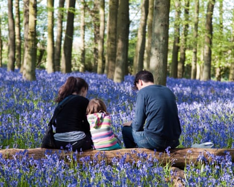 A family of three sits on a fallen log surrounded by bluebells in a woodland