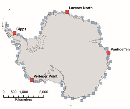 Screenshot from British Antarctic Survey (BAS), ‘Four new emperor penguin colonies found by satellite’.