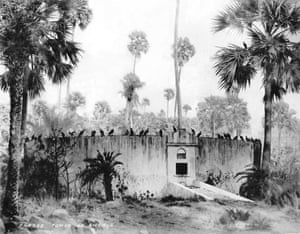 Vultures perched on one of the Towers of Silence in Mumbai, circa 1880.