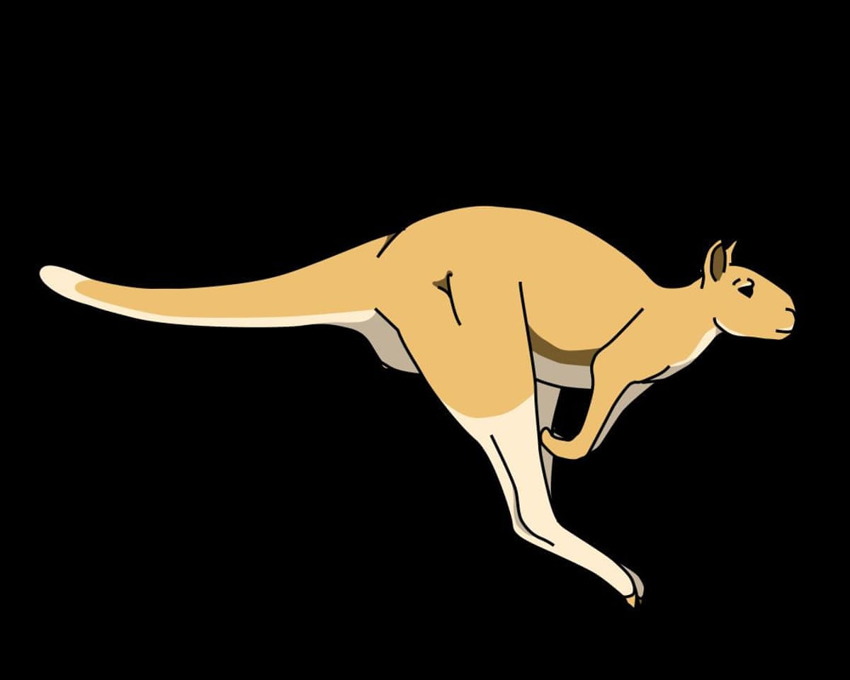 Kangaroos’ Giant Ancestor Probably Able to Hop Despite 250kg Weight, Scientists Say