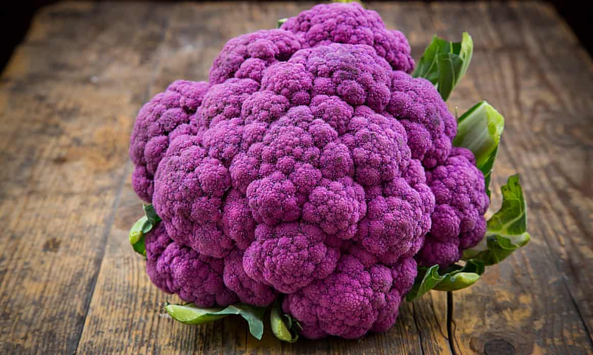 A purple cauliflower