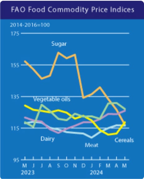 A chart showing the UN food index