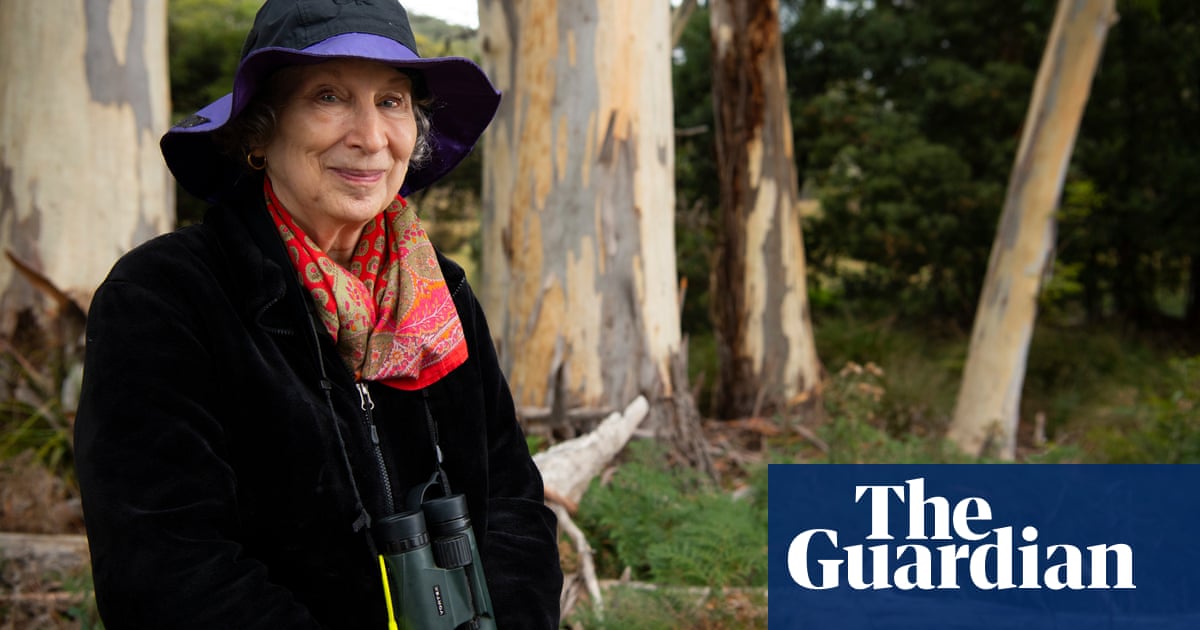 'Extinction is a choice’: Margaret Atwood on Tasmania's forests and saving the swift parrot | Books | The Guardian