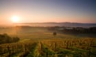 Grape escapes: 10 amazing UK vineyard hotels and lodges
