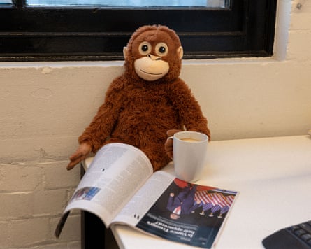 Djungelskog enjoys the Guardian Weekly.