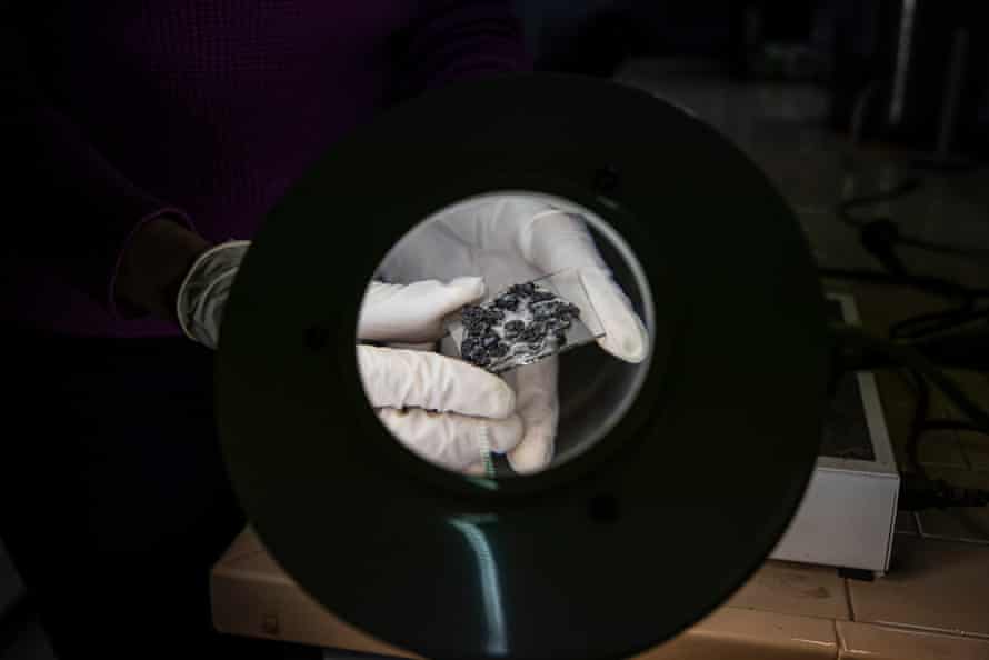 Lava samples mounted on a slide for microscope measurements at the volcanology institute