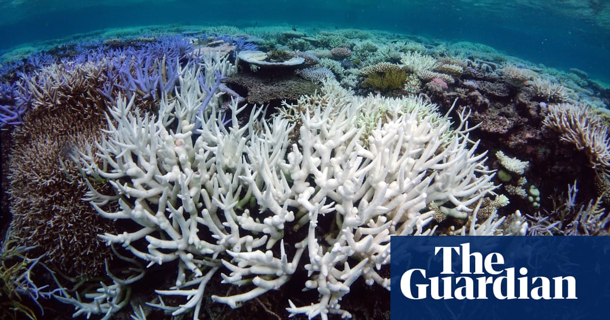 Great Barrier Reef world heritage values damaged by climate change, government admits - The Guardian