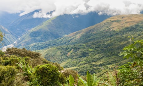 A espessa cobertura vegetal da floresta tropical boliviana dificultou a localização dos sítios pelos arqueólogos.