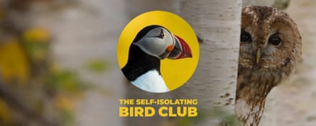 Self-isolating bird club