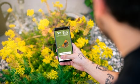 The Big Butterfly Count app being used to record species.